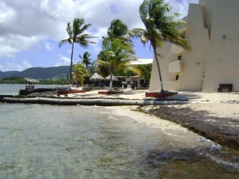 Sun loungers, beach towels