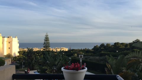 View to Cabopino beach from terrace