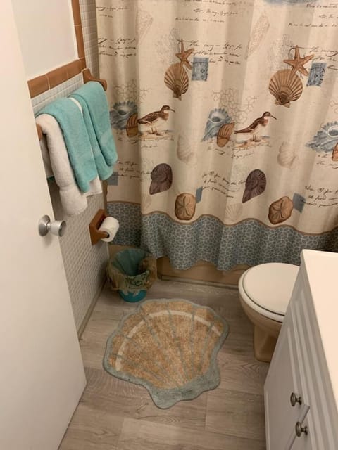 Combined shower/tub, hair dryer, towels