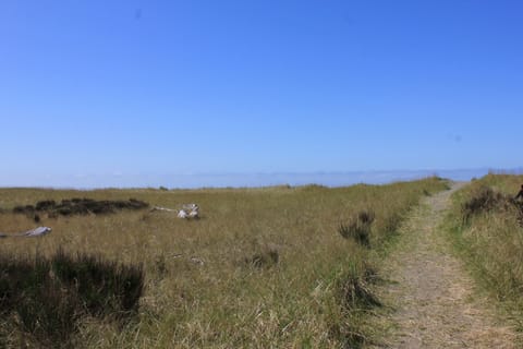 There are many great trails leading to the beach