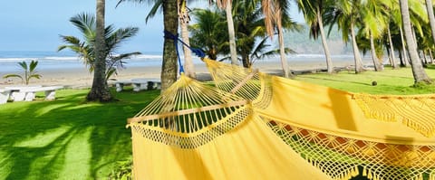 On the beach, sun loungers, beach towels