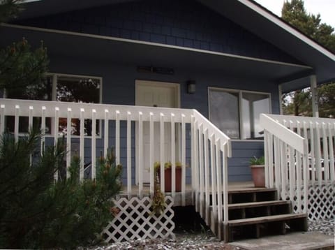 Welcome to Sandy Toes!