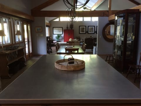 Stainless Steel Island Counter opening to dining & living room