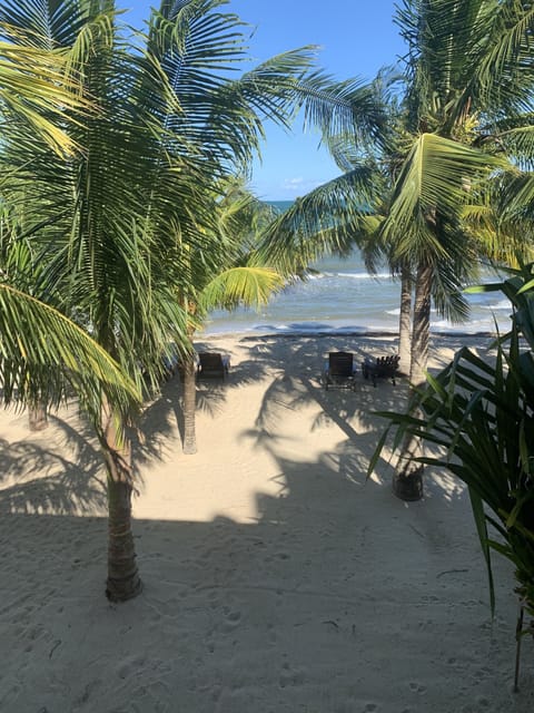 On the beach, sun loungers, beach towels