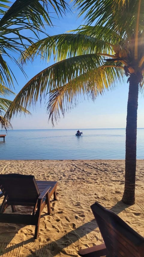 On the beach, sun loungers, beach towels