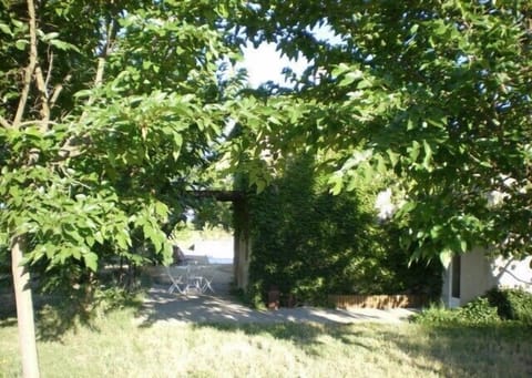 Shady garden for eating al fresco