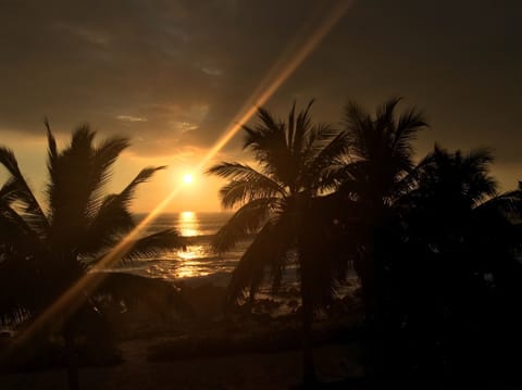 A golden sunset from the upper deck.