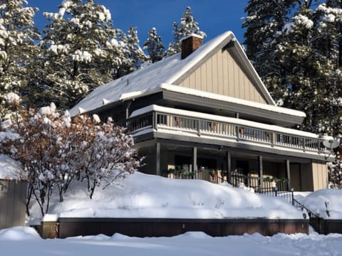 Fresh Snow
February 2019