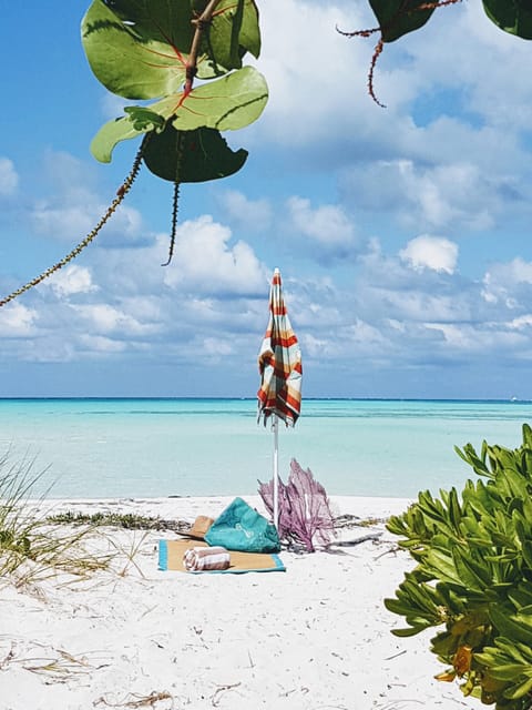 Beach nearby, sun loungers, beach towels