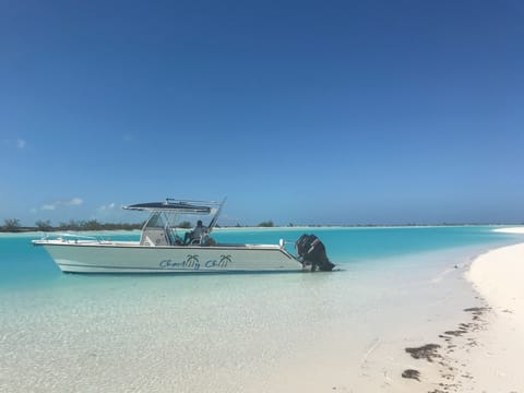 Sun loungers, beach towels