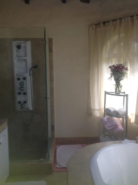 Combined shower/tub, hair dryer, towels