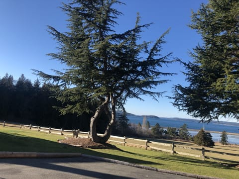 Enjoy our yard and the view