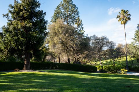 Front lawn looking towards the tennis court