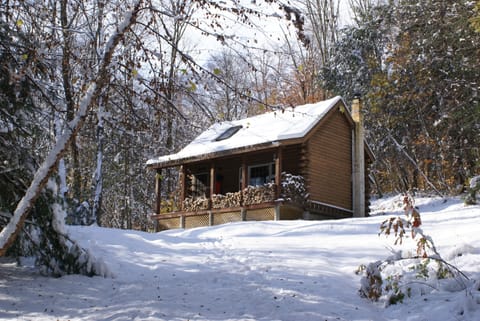 Cabin with Spring snow!