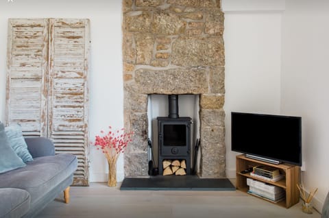 TV, fireplace, books, stereo