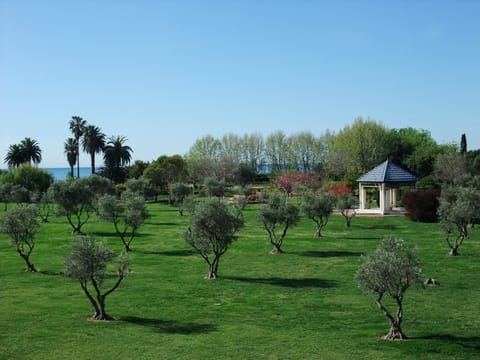 Overlooking Park Exflora & Sea Views.
The View from your balcony (Aug 2012)