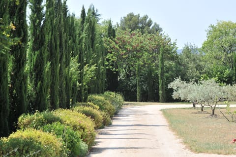 L'allée accédant à la piscine