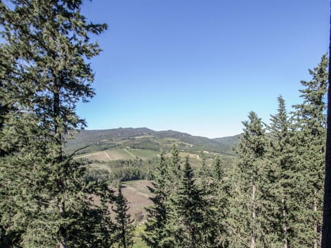 Mountainous Landforms, Tree, Nature, Wilderness, Mountain, Sky, Natural Environment, Tropical And Subtropical Coniferous Forests, Biome, Natural Landscape