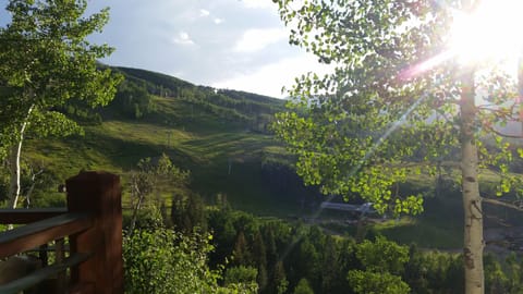 Summertime View From the Deck of the Ski Slope