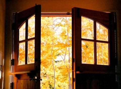 Glorious Autumn Colors Outside the Front Door