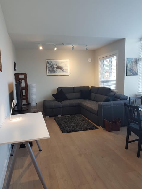 Living Room and TV (couch has a pull out double bed).