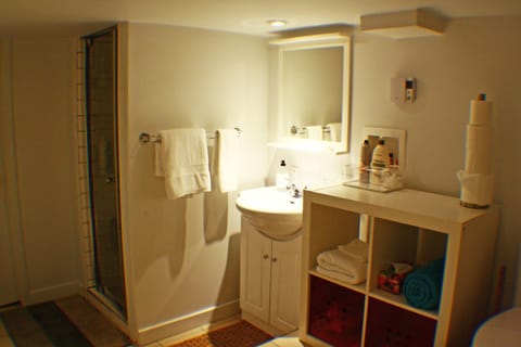 Basement bathroom: shower, sink, toilet.