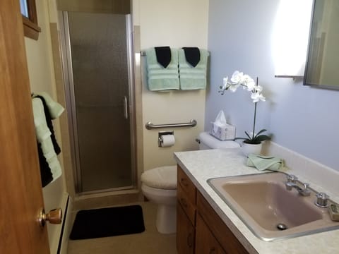 Combined shower/tub, hair dryer, towels, soap