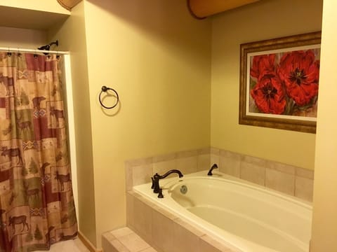 Combined shower/tub, hair dryer, towels