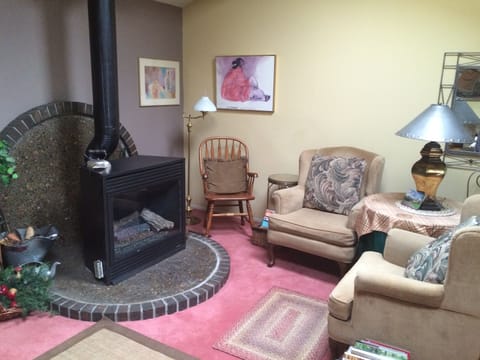 New wonderful and warm natural gas fireplace to sit and warm up or read.
