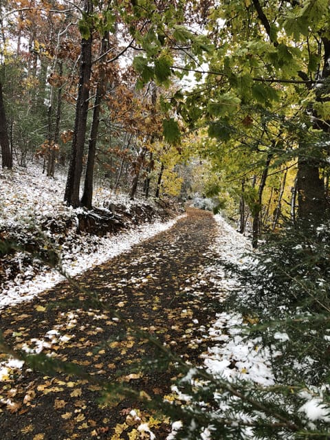 Fall 2019 first snow (extreme snowfall isn't typical - just enough to be pretty)
