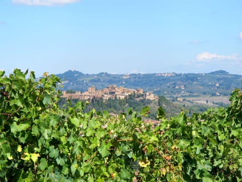 Furniture, Property, Ceiling Fan, Cabinetry, Table, Couch, Lighting, Picture Frame, Wood, Countertop