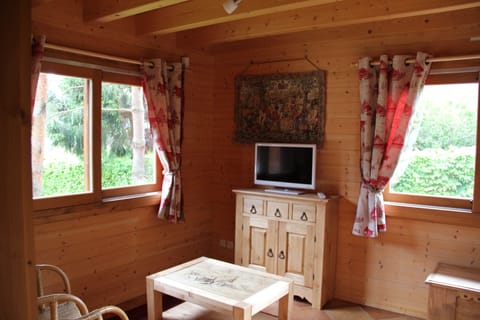 Two windows in the living room and television area