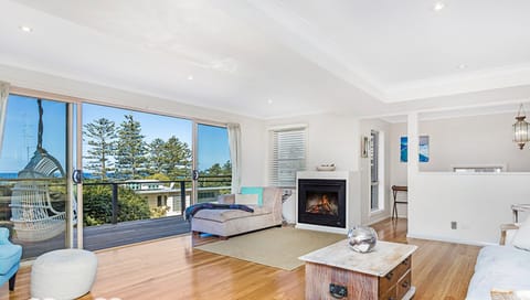 TV, fireplace, books