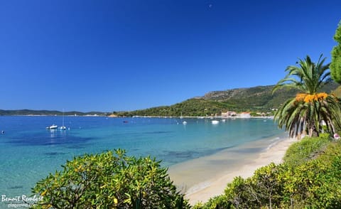 Beach nearby, sun loungers