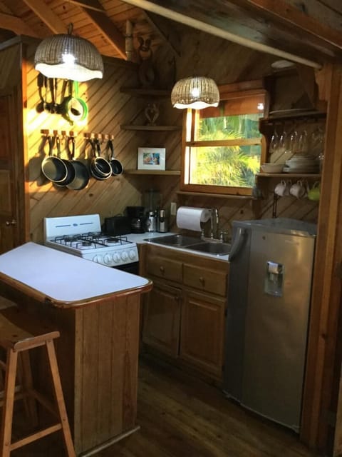 Fridge, oven, stovetop, coffee/tea maker