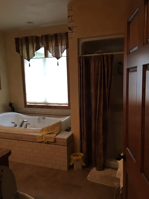 Combined shower/tub, jetted tub, hair dryer, towels