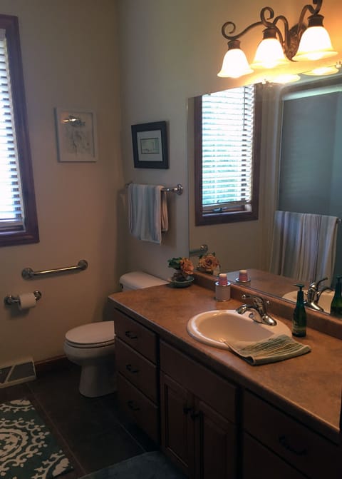 Combined shower/tub, jetted tub, hair dryer, towels