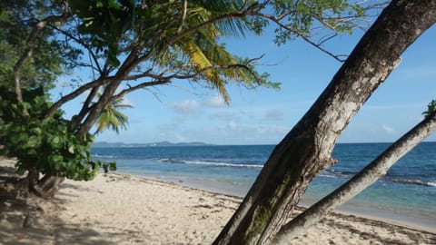 Beach nearby, sun loungers