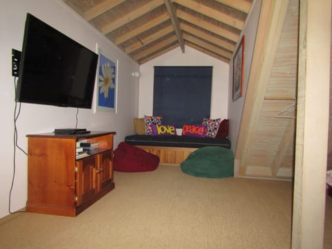 TV, fireplace, video-game console, DVD player