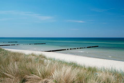 Beach nearby, sun loungers