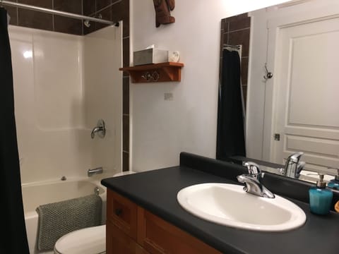 Combined shower/tub, hair dryer, towels, soap