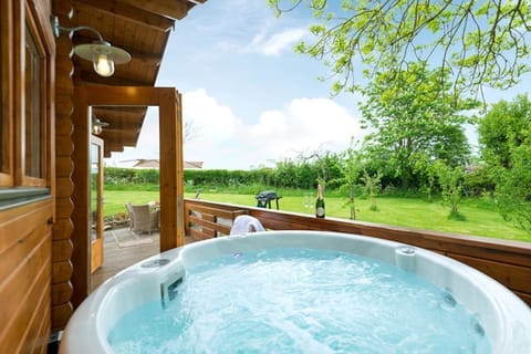 Electric hydrotherapy hot tub