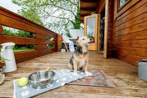 Dog friendly with enclosed garden