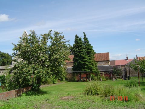 Shared garden, lawn and allotment
