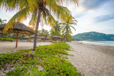 Beach nearby, sun loungers