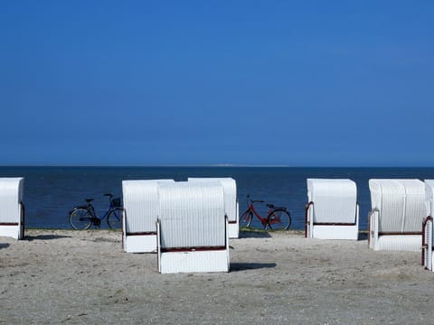 Beach nearby, sun loungers