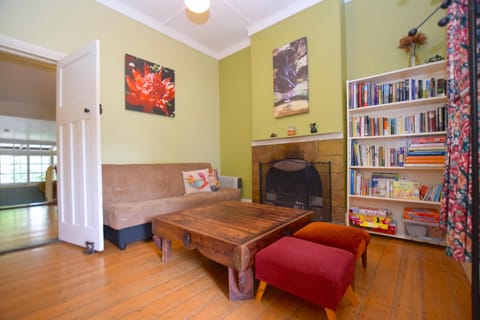 Fireplace, toys, books