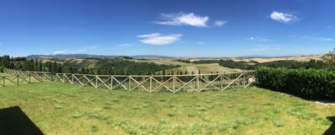 View from rear garden