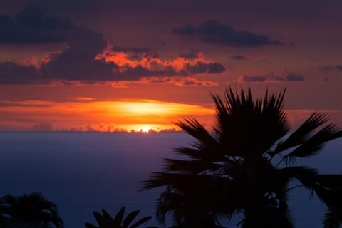 Beautiful Hawaiian Sunset
