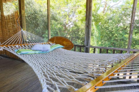 Welcome to Decked Out!